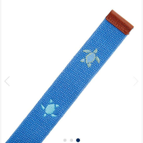 Boys Turtle Embroidered D-Ring Belt - Picture 3 of 6